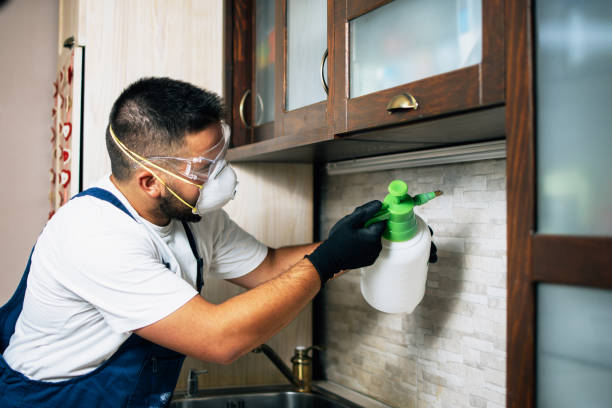 Best Exterminator Services  in Marion, NC