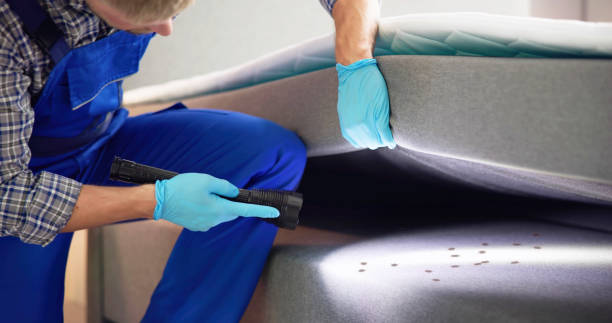 Best Affordable Pest Control Services  in Marion, NC