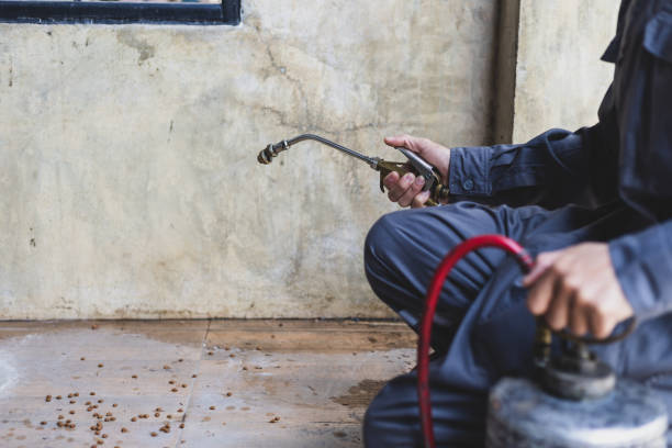 Best Best Pest Control Companies  in Marion, NC