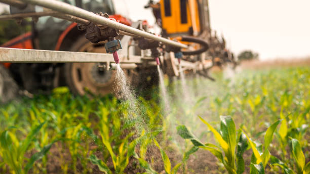 Best Ant Control Services  in Marion, NC