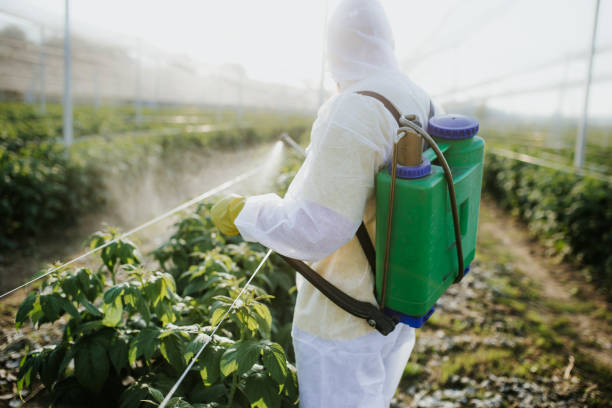 Best Pest Prevention Services  in Marion, NC